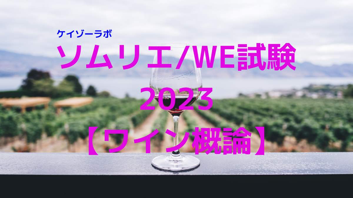 ソムリエ／ワインエキスパート試験対策2023】ワイン概論 | ケイゾーラボ